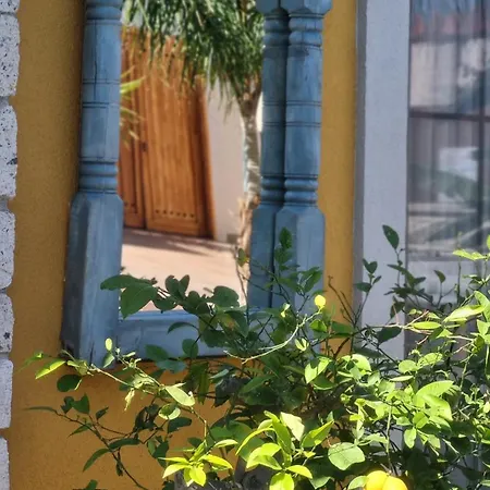 Soas Alaçatı